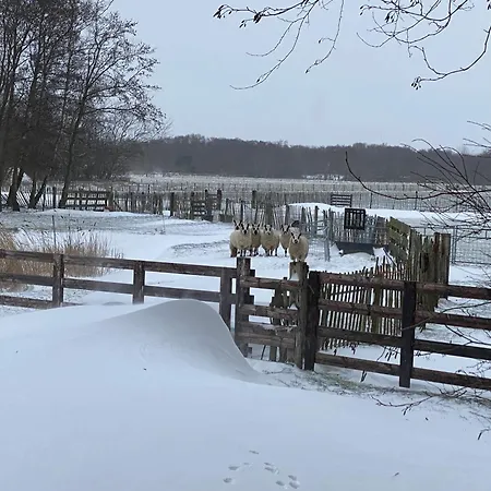 Koetshuis * De Koog (Texel)
