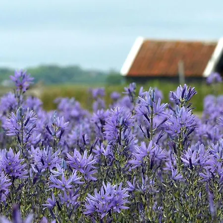 Koetshuis De Koog (Texel)